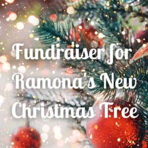 Donation for new Christmas Tree for Ramona